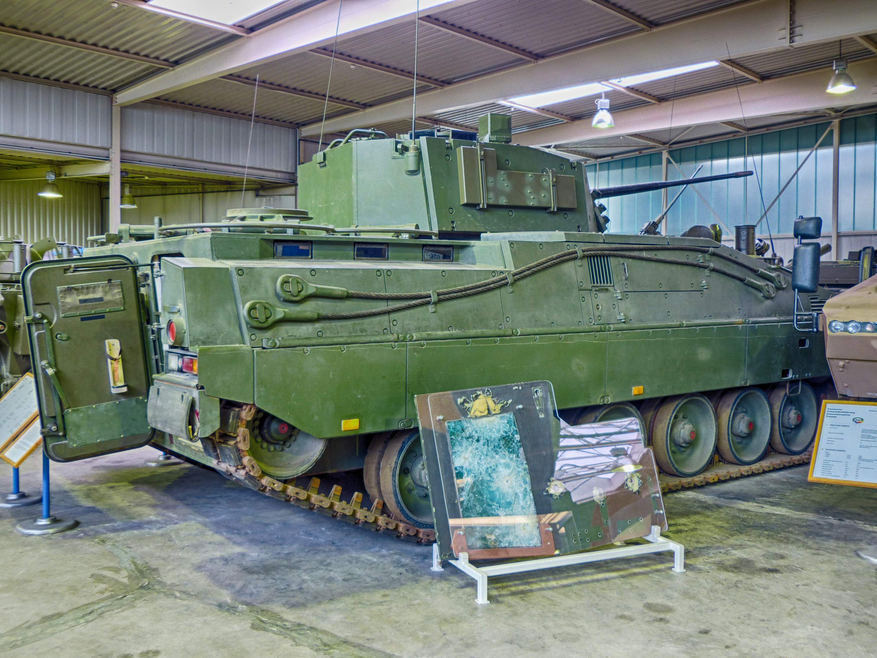 marder_2.jpg